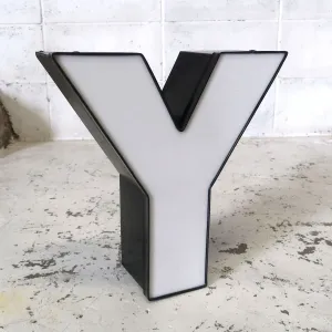 ビンテージ レターサイン Y