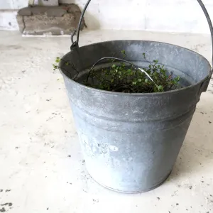 ビンテージ バケツ