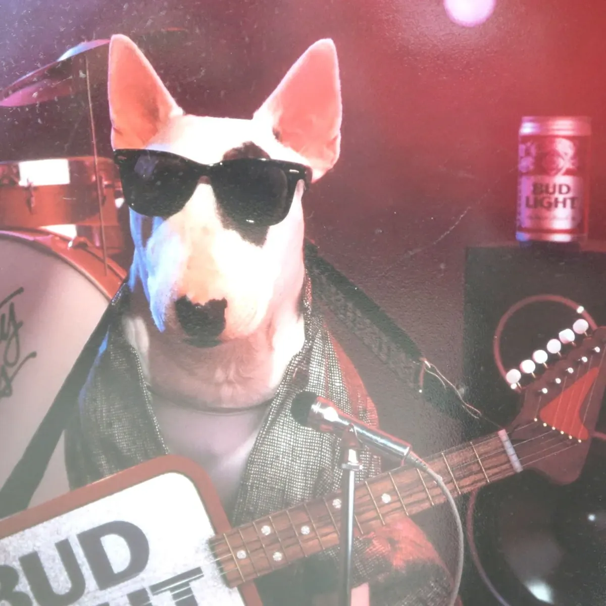 BUD LIGHT バド犬ライトサイン Spuds Mackenzie