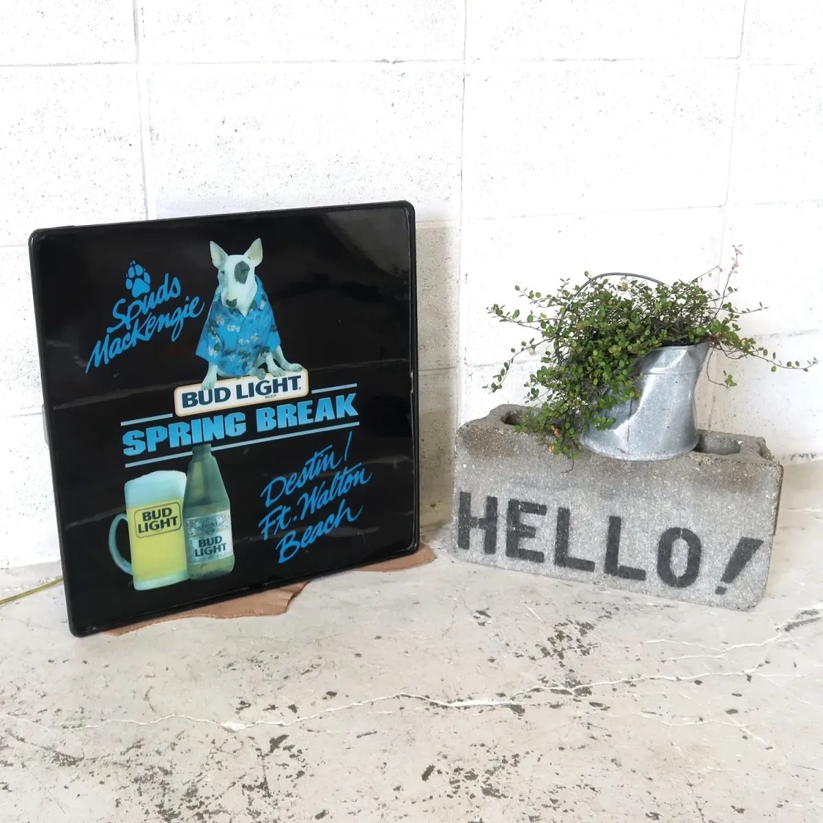BUD LIGHT バド犬ライトサイン Spuds Mackenzie