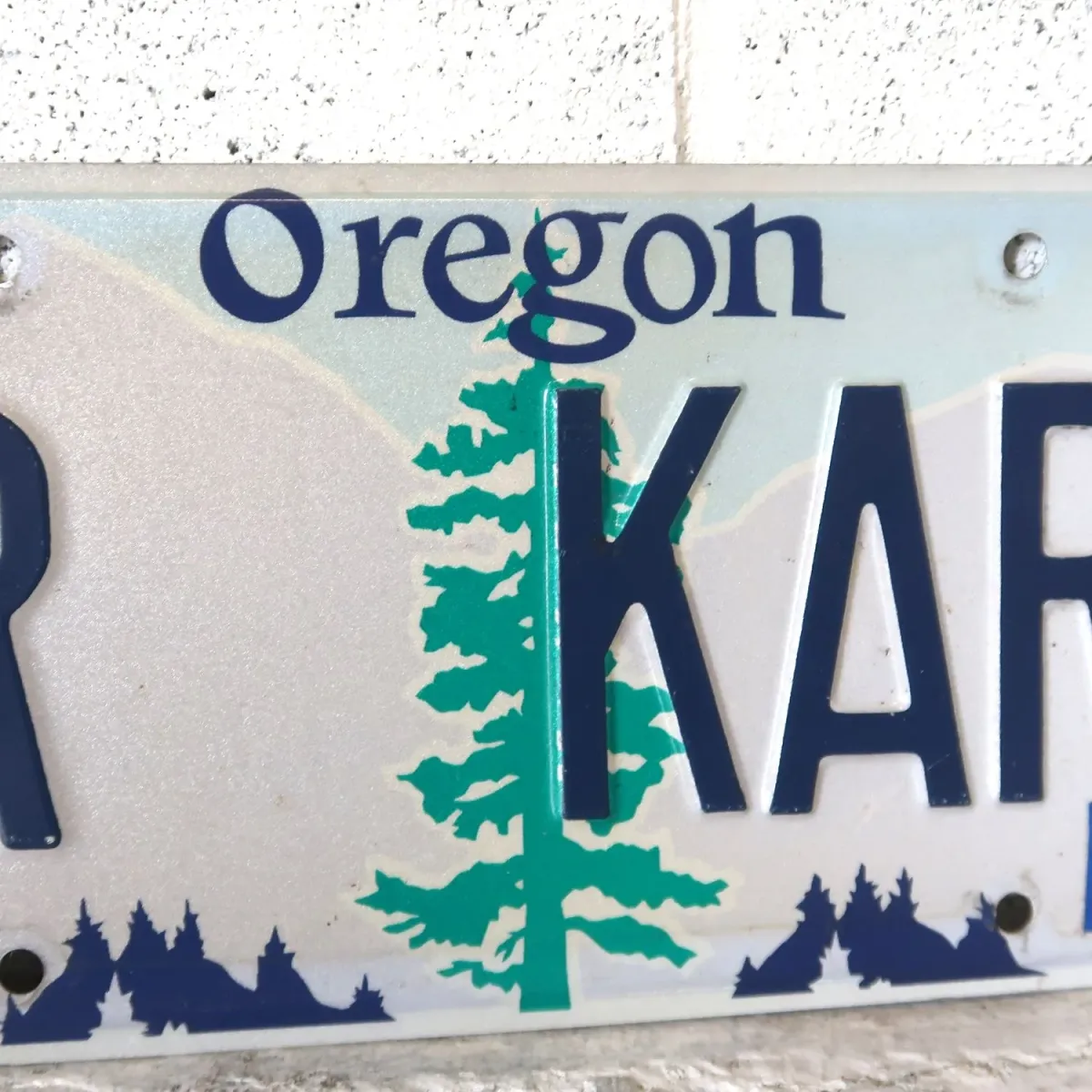 OREGON USED ナンバープレート ペア