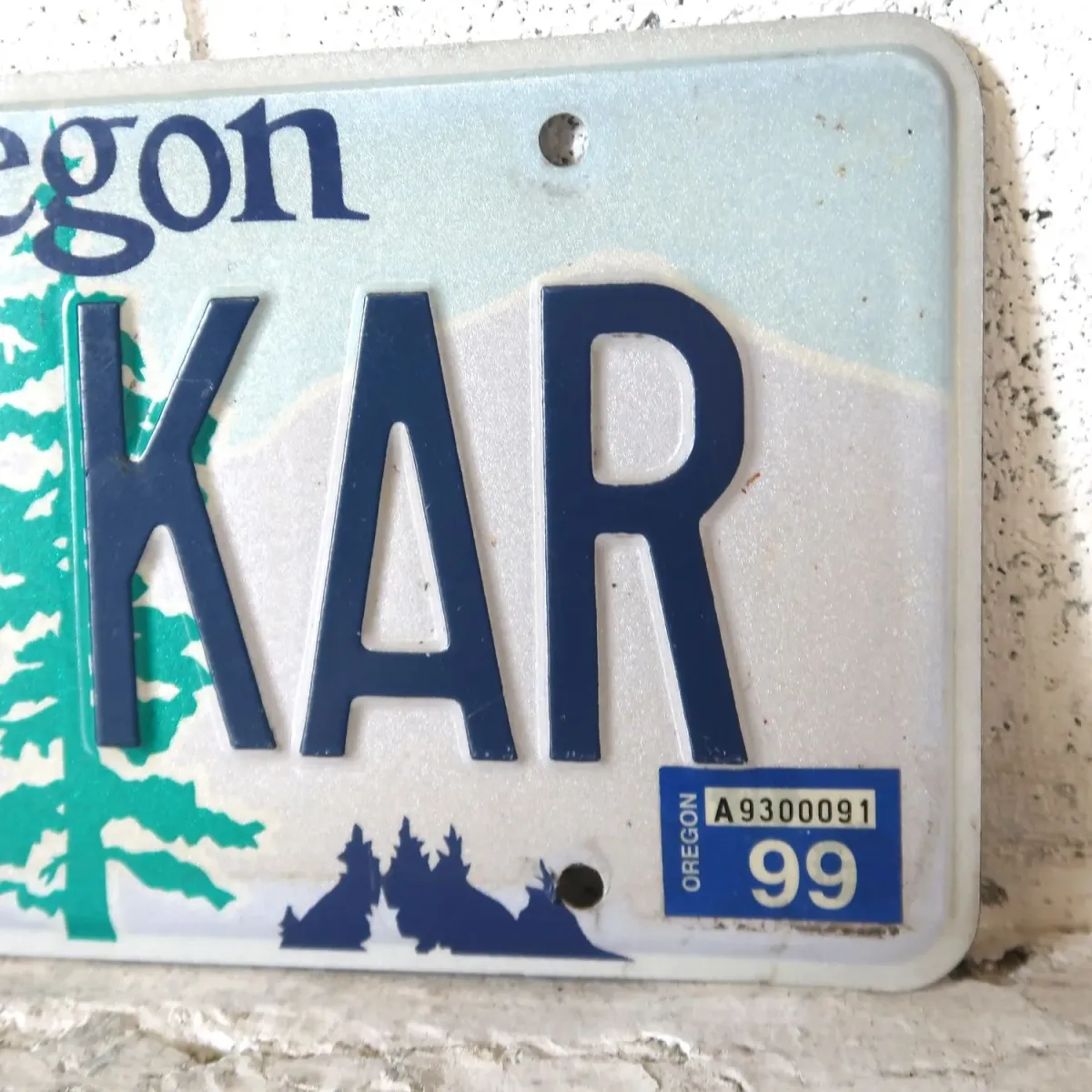 OREGON USED ナンバープレート ペア