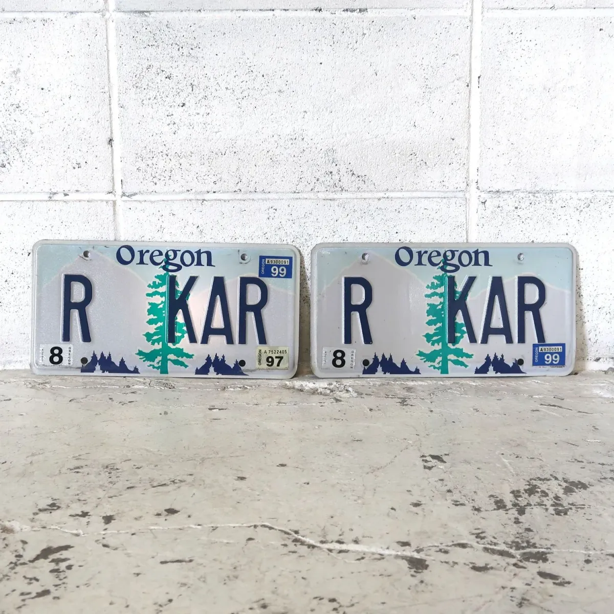 OREGON USED ナンバープレート ペア