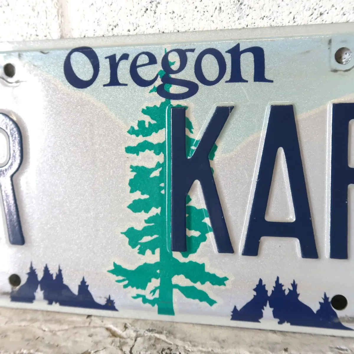 OREGON USED ナンバープレート ペア