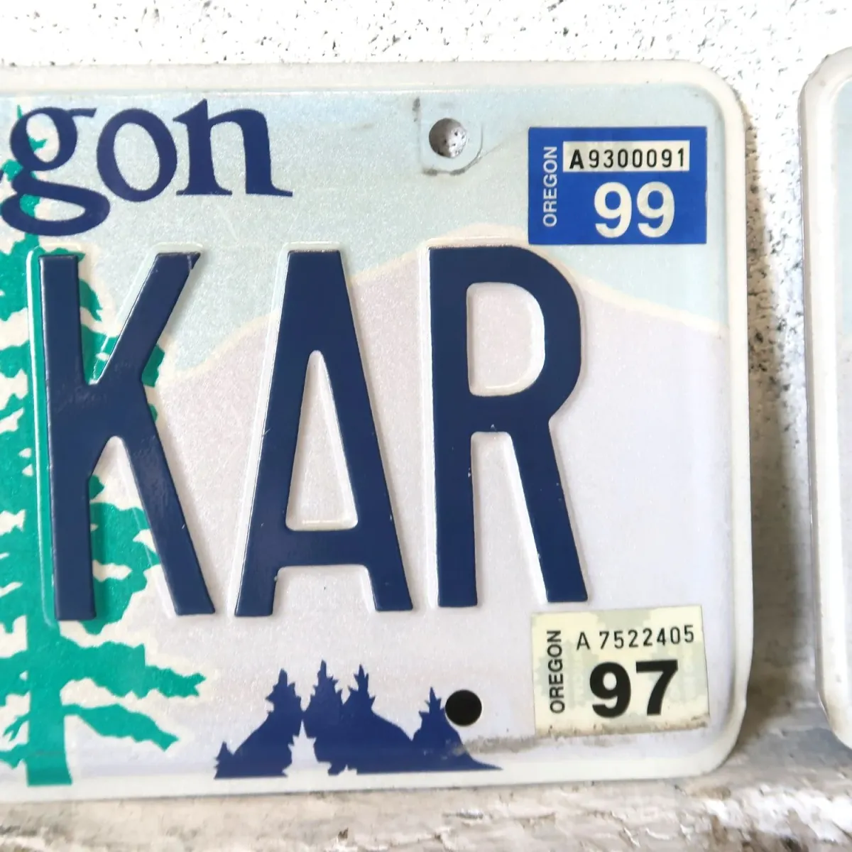 OREGON USED ナンバープレート ペア