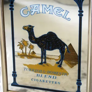 CAMEL ビンテージ ウォールミラー