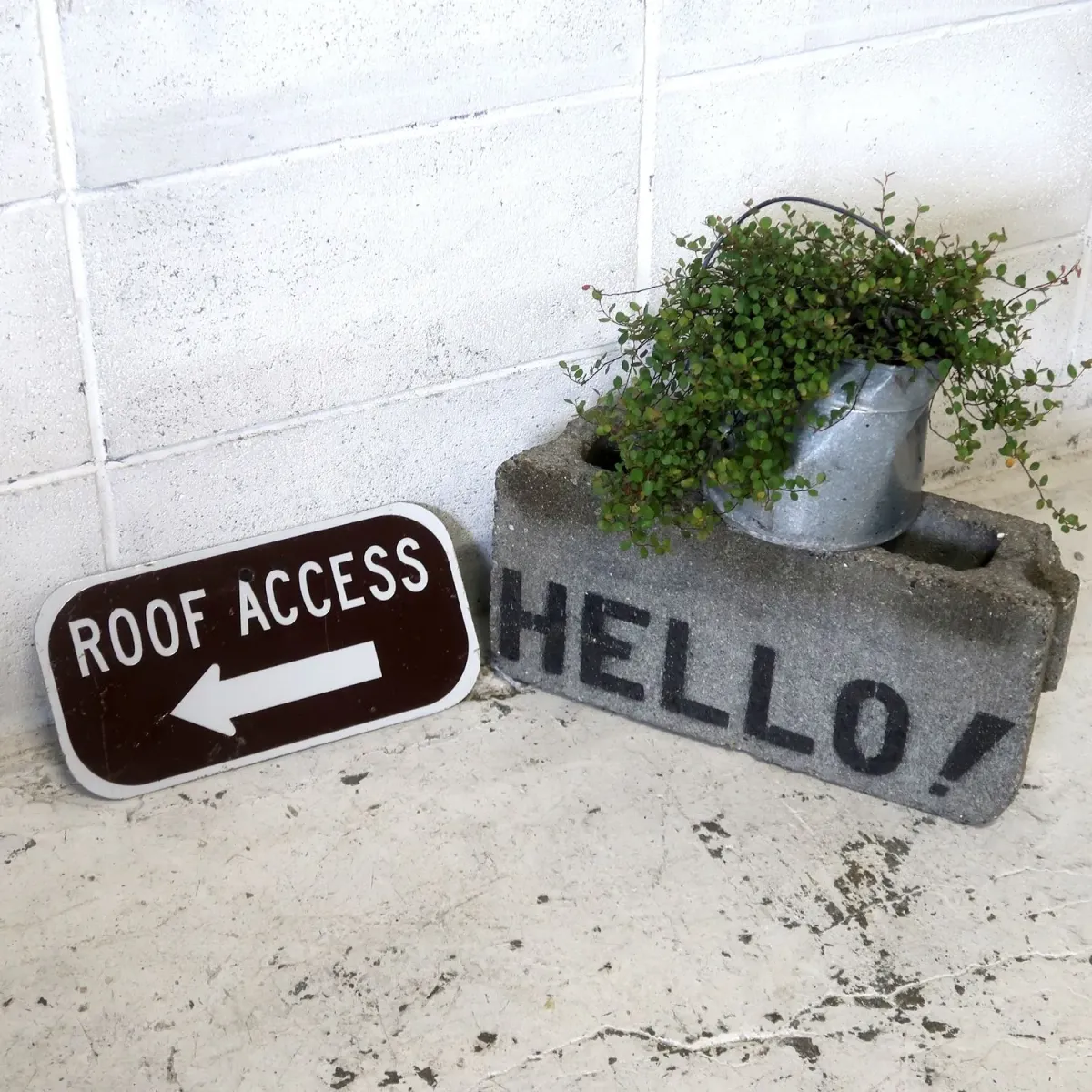 ROOF ACCESS メタルサイン