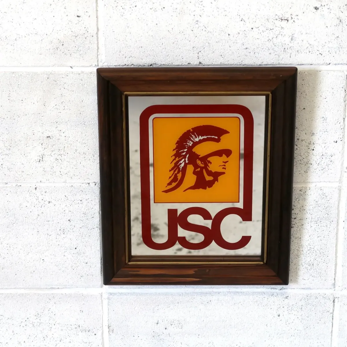 USC ビンテージ ウォールミラー