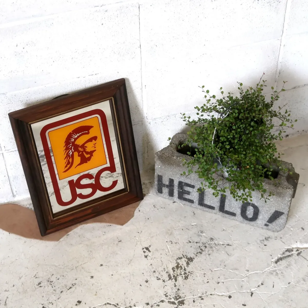 USC ビンテージ ウォールミラー
