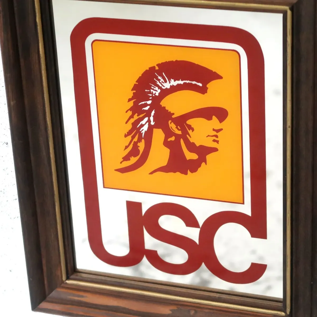 USC ビンテージ ウォールミラー