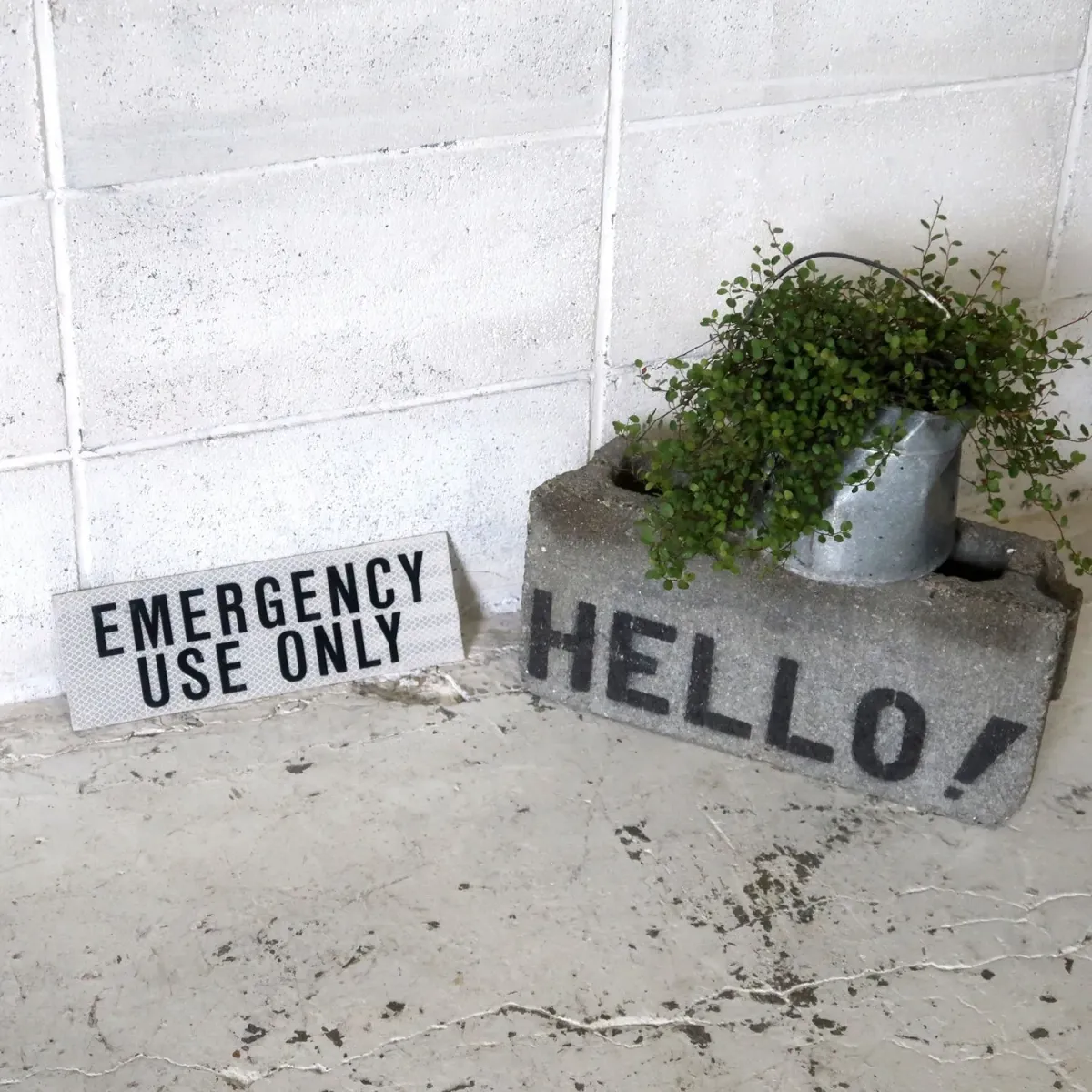 EMERGENCY USE ONLY メタルサイン