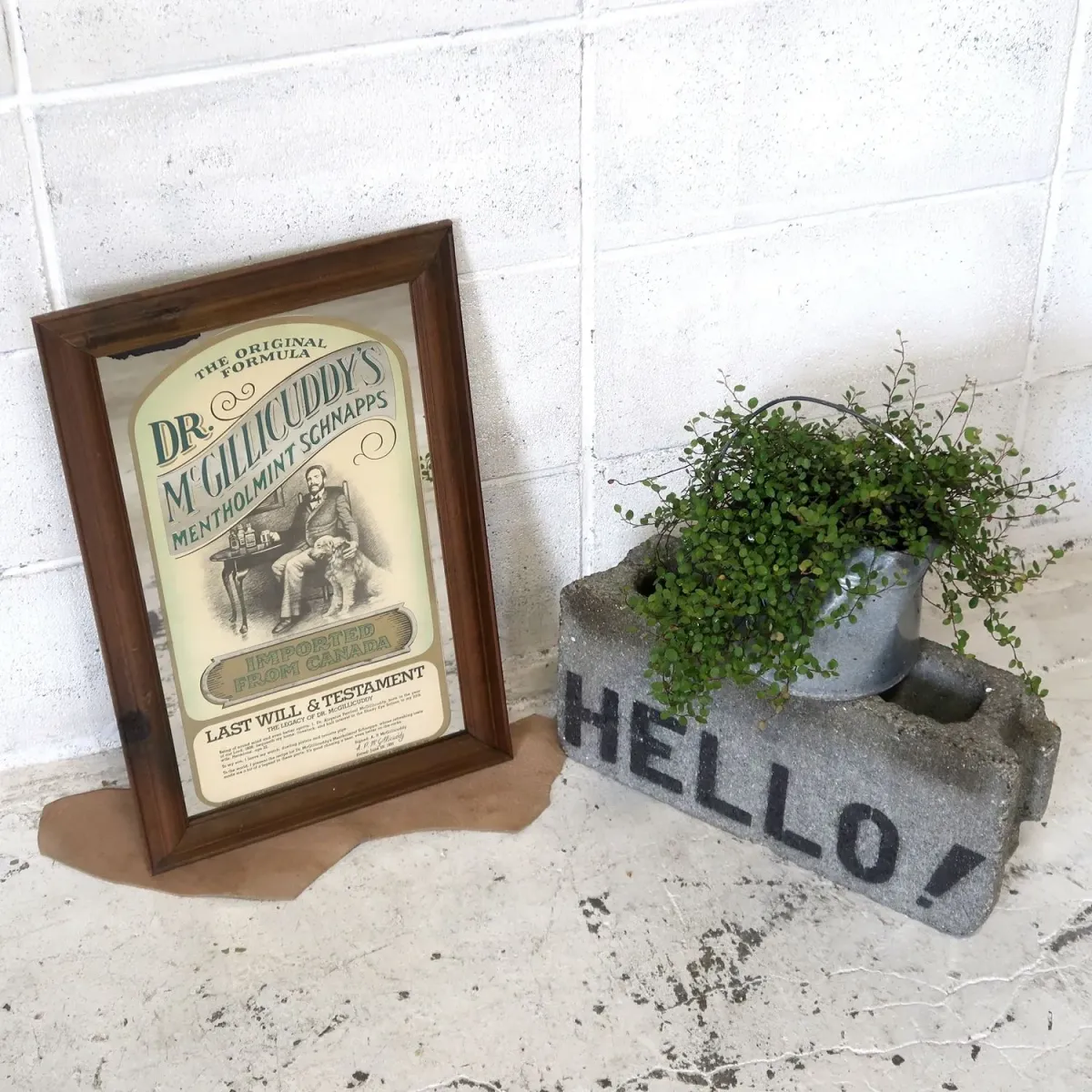 DR. McGILLICUDDY'S ビンテージ パブミラー