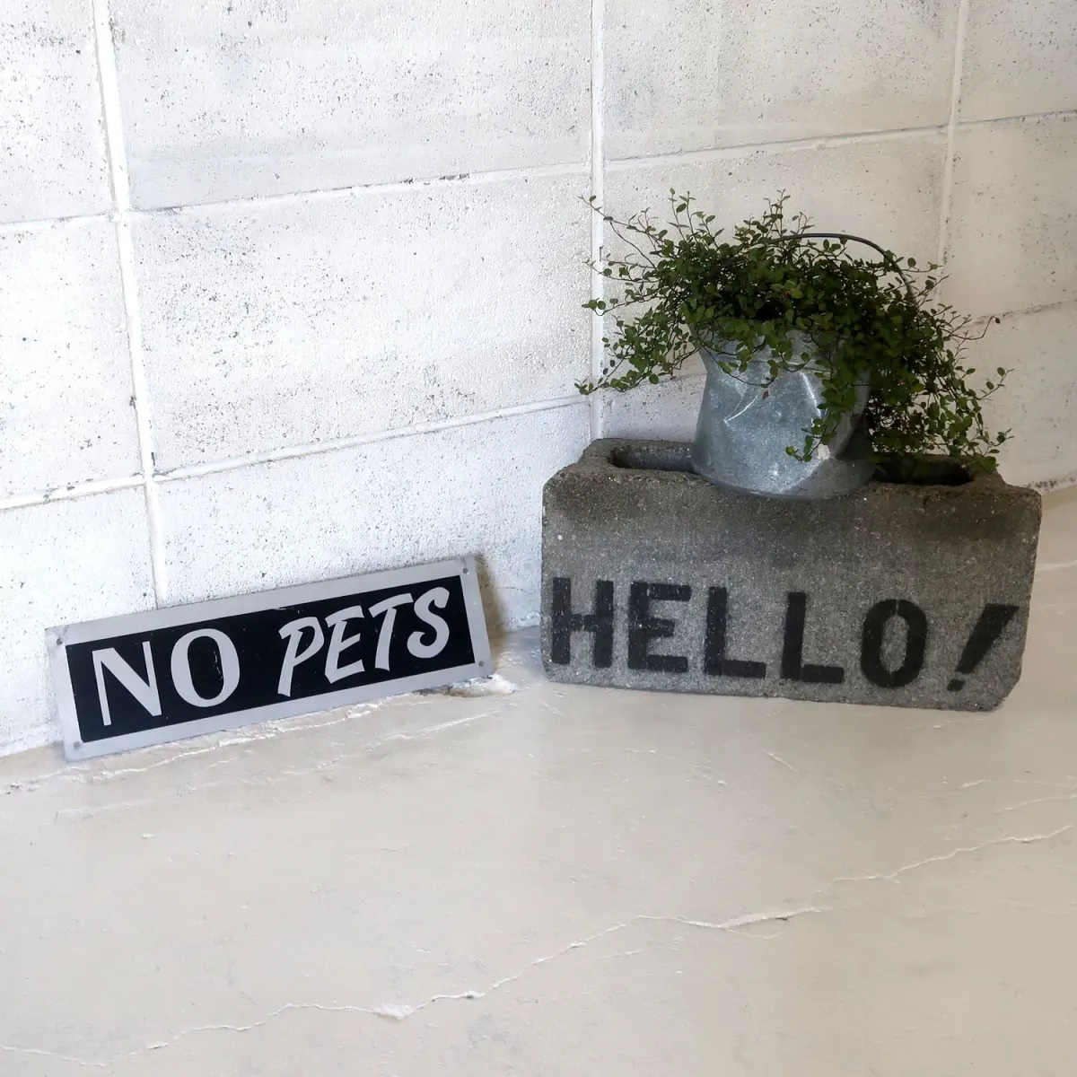 NO PETS メタルプレート