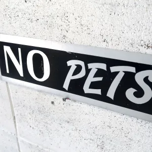 NO PETS メタルプレート