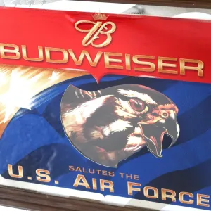 Budweiser×U.S. AIR FORCE パブミラー