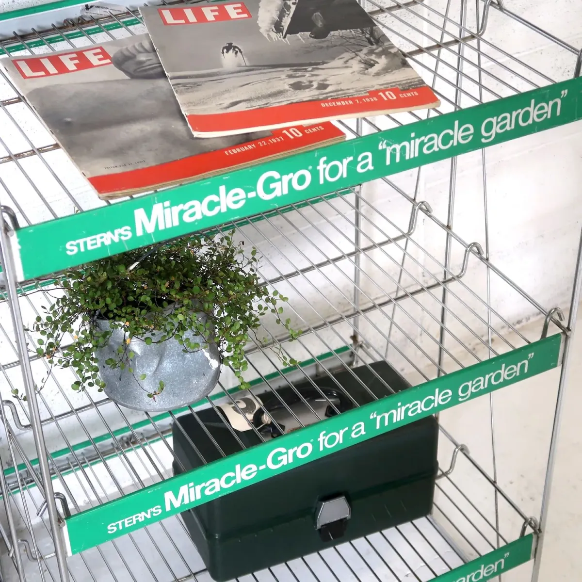 Miracle-Gro ストアディスプレイ ワイヤーラック