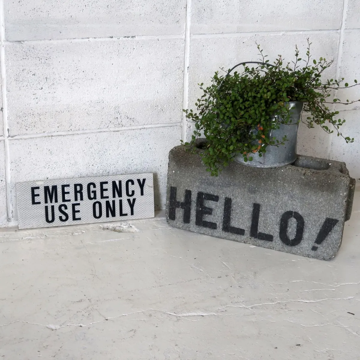 EMERGENCY USE ONLY メタルサイン